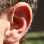 https://commons.wikimedia.org/wiki/File:EAR.jpg