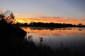 https://commons.wikimedia.org/wiki/File:Serene_landscape.jpg