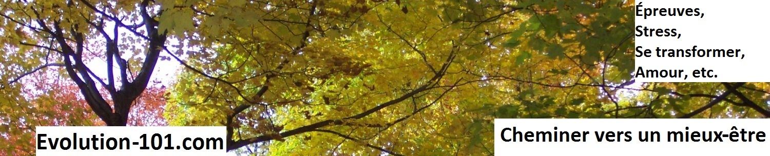 proverbe chinois sur la rencontre