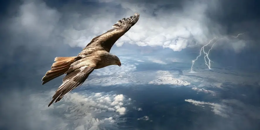 Un aigle vol au-dessus d'une tempête.
