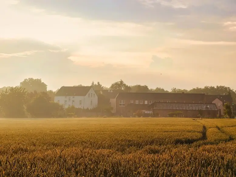 Un champ de blé devant une ferme