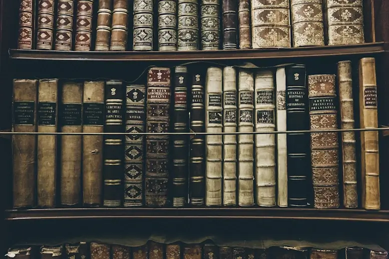 tablettes de gros livres d'histoire anciens