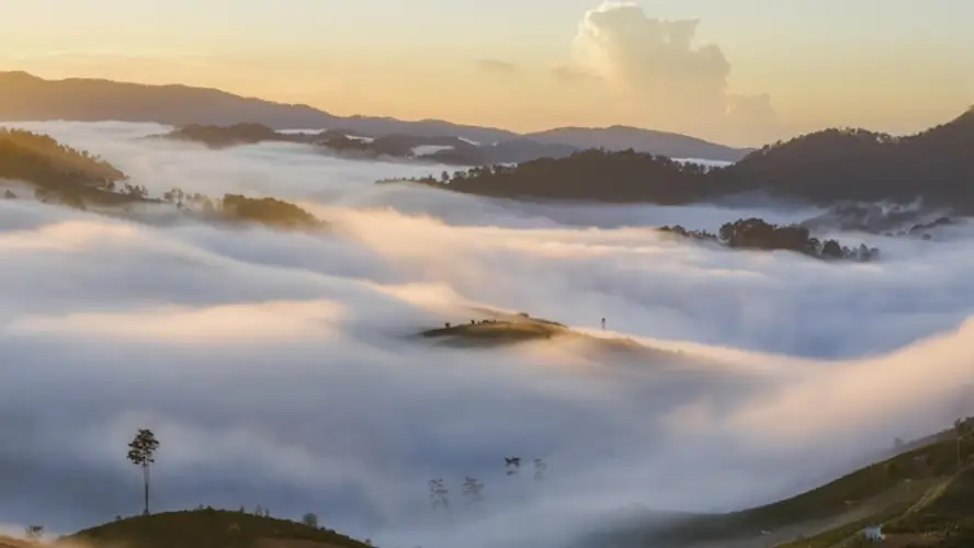 Une vallée presque entièrement cachée dans le brouillard