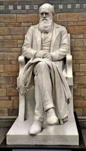 Statue de Charles Darwin au Musée d’histoire naturelle de Londre.
