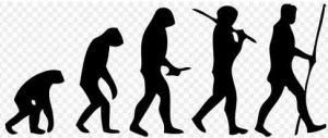 Stades d’évolution du "singe" à l’homme.
