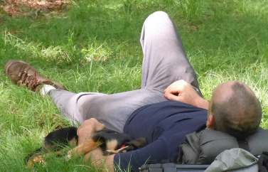Un homme se repose paisible couché parterre sur du gazon.