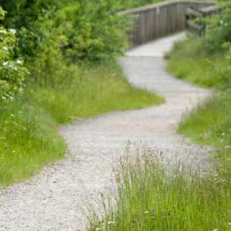 Un chemin piétonnier sinueux en pleine nature