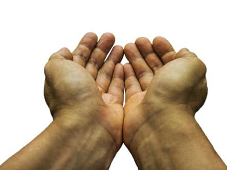 Deux mains jointes comme pour donner quelque chose.