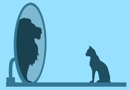 Un chat se voit dans un miroir comme un lion.