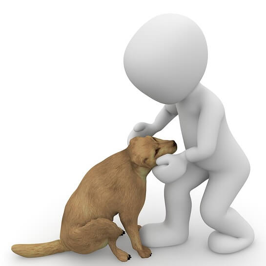 Un homme caresse un chien.
