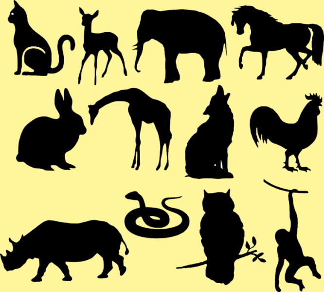 Silhouette de 12 animaux différents