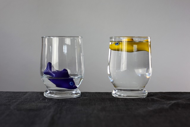 Deux verres d’eau contenant un poisson ont différents niveaux d’eau.