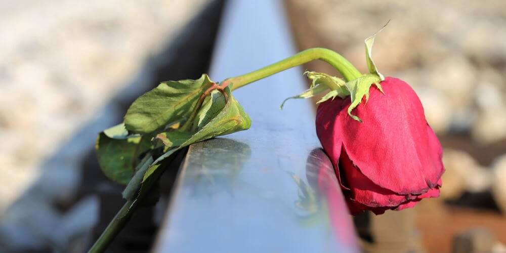 Une rose rouge fanée déposée sur un chemin de fer.