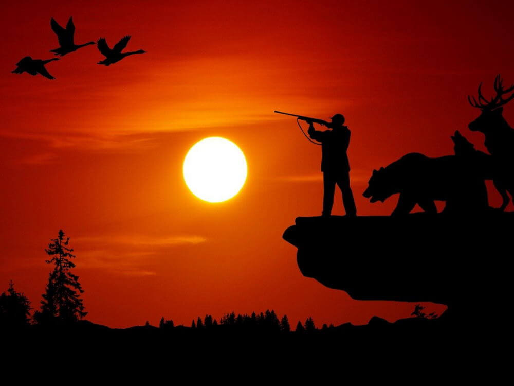 Armé d’une carabine, un chasseur vise des oiseaux.