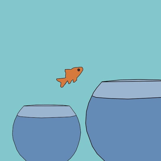 Un poisson saute d’un bol à un plus grand bol.